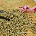 Semillas de semillas de cáñamo de China